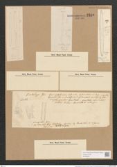 Berkeleya fragilis Grev. (de-Toni-Nr.: Genus 21, Species 1215) Zeichnungen Sammlung Grunow Nr. 2338 (NHMW-BOT-W0369467)